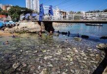 El mar se alejó 20 metros en Acapulco