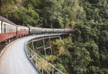 Tren Maya tendrá inversión mixta; sólo 10% será del gobierno