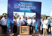 Mazatlán contará con el mejor acuario de América Latina
