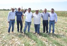 Llama Geovani Escobar a ganaderos a apostarle al ensilaje de pastura