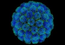Investigadores mexicanos desarrollan cura para el Virus del Papiloma Humano