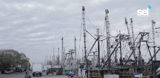 #MAZATLÁN Recalan al puerto, ahora buscan trabajo