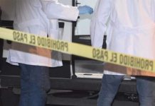 Al menos 15 muertos por ataque armado en Salamanca, Guanajuato