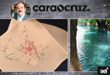 COLUMNA CARA O CRUZ 15 DE MARZO