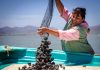 En México más de 22 mil mujeres se dedican a la pesca y acuacultura