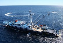 Publica Sader volumen de captura de atún aleta azul para el Pacífico