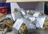 Hallan más de mil 500 tortugas dentro de equipaje en Filipinas