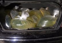 Policía Federal encuentra bolsitas de huachicol en Puebla