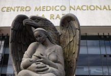 IMSS actualiza costos de atención para no derechohabientes