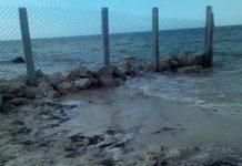 Pareja estadounidense coloca muro en playa yucateca; los podrían sancionar