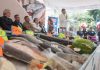 Invita Conapesca a adquirir pescados y mariscos de producción nacional, proveedores de alto valor nutrimental