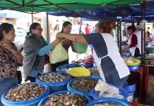 Exhorta Profeco a changueras para mostrar sus precios?