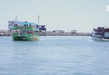 Ellos te llevan de paseo por la bahía?