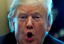 Trump contra México: advierte aranceles a autos si no frena tráfico de armas y migrantes
