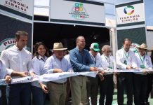 Propone Quirino priorizar maíz local frente a importaciones