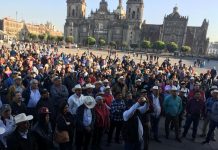 División en la base campesina de Sinaloa por el precio del maíz