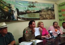 #MAZATLÁN? Le recuerdan diputados al Químico daño del Parque Central