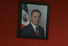 EN SOLO DOS DÍAS YA SE TIENE ASEGURADO 20 POR CIENTO DE LA COSECHA DE MAÍZ.