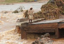 Bebé nace en árbol, su madre se refugiaba de inundación de Idai