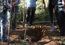 En 6 meses hallan 222 fosas ilegales y exhuman 337 cuerpos