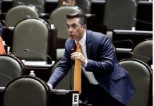 Preocupa »la vaquita amarilla» a Sergio Mayer