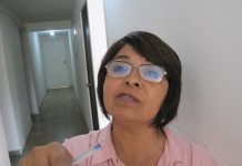 Burocracia Estatal y Municipal “Matan” las Palmeras del Malecón