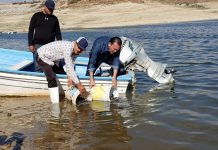 Inicia el programa de siembra de alevines 2019