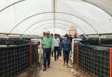 La pesca ha sido una actividad vulnerada y a través de ISAPESCA buscamos su rescate y diversificación: Maribel Chollet