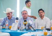 Presentarán diputados priistas 55 iniciativas