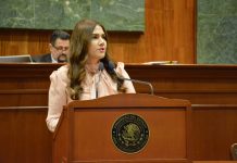 FORTALECER ACCIONES CONJUNTAS DE LEGISLADORES PARA BAJAR COSTO DE ENERGÍA, PROPONEN DIPUTADOS DEL PRI