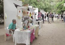 Celebran el Día Mundial del Medio Ambiente