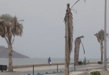 En la Muerte de Palmeras Municipio y Estado se Echan la Bolita