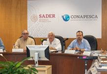 Pesca y acuacultura, temas de prioridad nacional en la agenda del Gobierno de México: Víctor Villalobos