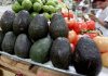 Precio del aguacate alcanza los 80 pesos por kilo en la Ciudad de México
