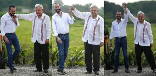 AMLO golpea al presidente de El Salvador… fue por decirle ‘cabecita de algodón’, bromea Bukele (video)