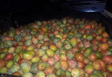 Continua operativo de robo hormiga en el municipio, siguen las detenciones: Bienes Patrimoniales.