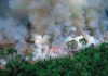 INCENDIO EN EL AMAZONAS ¿POR QUÉ ES UN PELIGRO MUNDIAL?