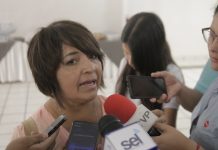 Están taquerías entre las más contaminadoras