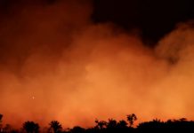 Mientras el Amazonas se consume; Bolsonaro afirma: no hay recursos para combatir incendios