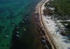 Isla Mujeres, Cancún, Puerto Morelos, Solidaridad y Playa del Carmen están libres de sargazo: Marina