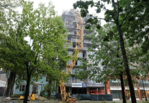 HURACÁN ‘DORIAN’ DEJA SIN ELECTRICIDAD A CASI MEDIO MILLÓN DE PERSONAS EN CANADÁ