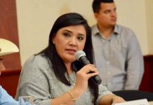 Lastimosa ignorancia de la diputada de Morena Beatriz Adriana Zarate: Mónica López Hernández