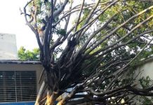 Suspenden clases en la Primaria de la Colonia La Sirena