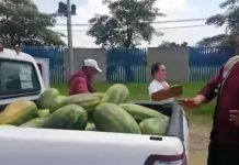 Regresará Oficialía Mayor sandías decomisadas