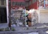 Basura de Vecino Puede Dar Pie a la Tragedia