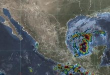 Frente Frío 7 provocará bajas temperaturas en norte y noreste del país