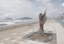 Breve Crónica de un Ecocidio Anunciado