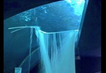 Acusados en caso tiburonario se comprometen ante el juez de control a reparación del daño causado.