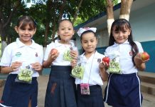 Programa Fruta Fresca de DIF Sinaloa pionero a nivel nacional: SNDIF