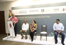 Con ‘Sembrando Vida’ generarán 10 mil empleos en Sinaloa con 50 mdp al mes